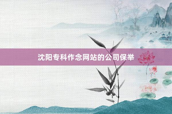 沈阳专科作念网站的公司保举