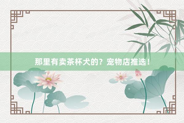 那里有卖茶杯犬的？宠物店推选！